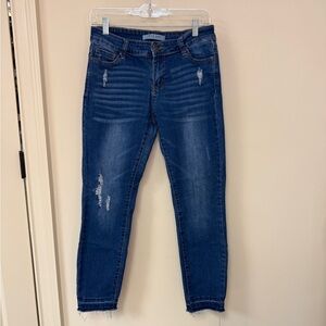 Wax Jean: Junior Distressed Blue High Rise Skinny Jean, Raw Hem Ankle, Size 9